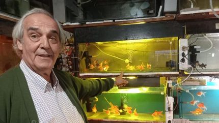 Osvaldo descubrió su pasión hace décadas, pero recién hace algunos años le puede dedicar el ciento por ciento de su tiempo.