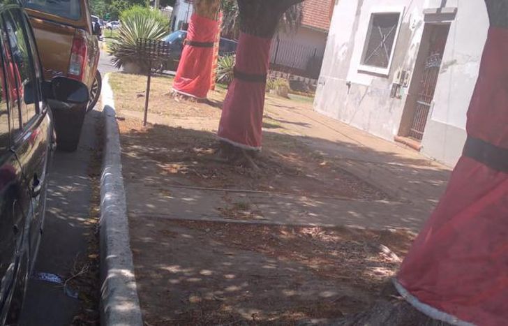 La idea la tomaron de Turdera y quieren que más vecinos se sumen.