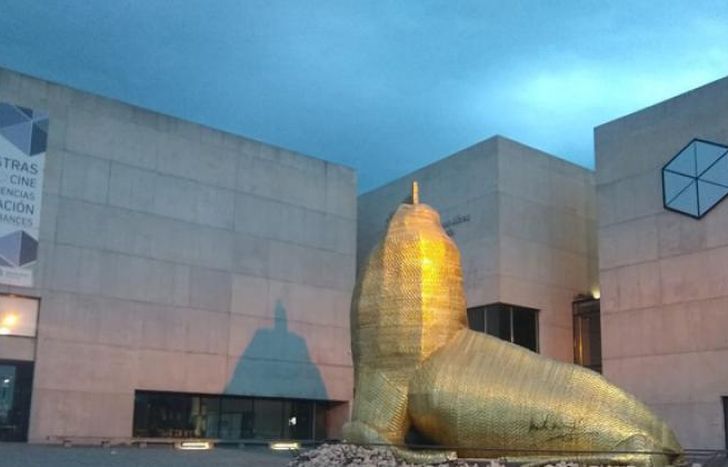 Museo marplatense.