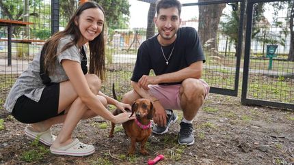 Lomas ofrece una gran variedad de parques para mascotas.