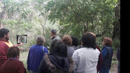 lomas: siguen los talleres y actividades en la reserva