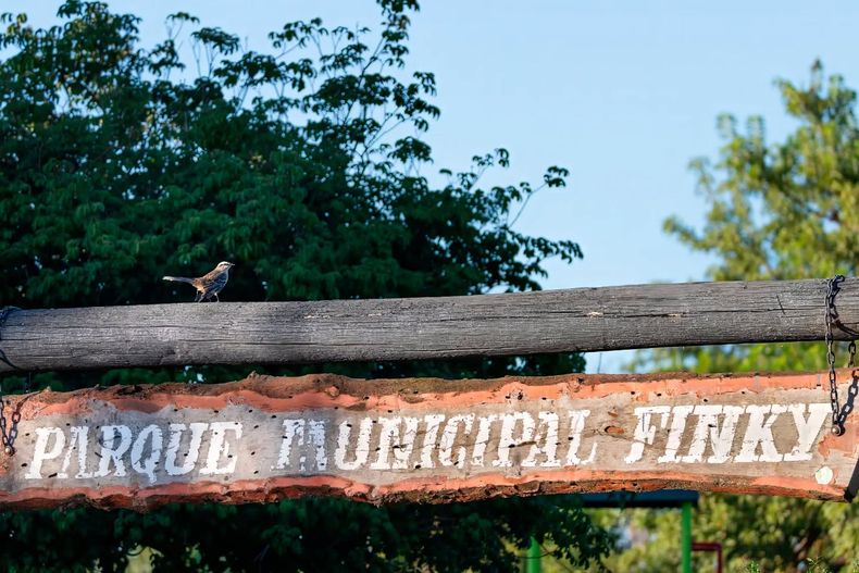 El ingreso al Parque Finky es por San Basilio 771, Turdera.