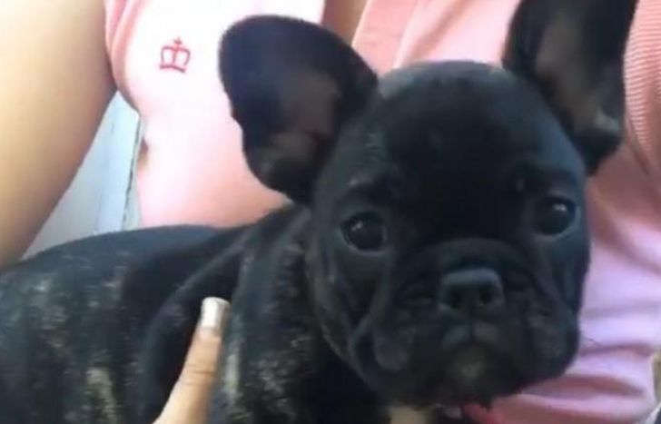 Martha fue robada el 15 de junio en Temperley.