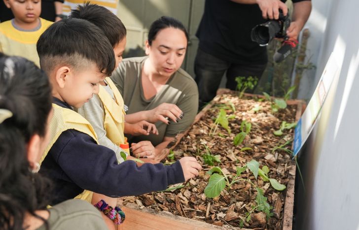 Arrancaron las jornadas ambientales en los jardines de Lomas.