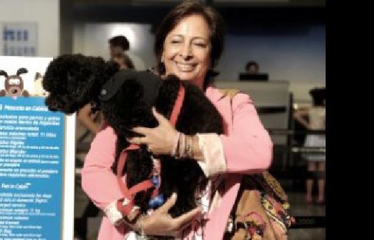 mascota aerolineas