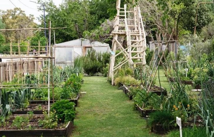 En Lomas ya armaron más de 150 huertas agroecológicas.