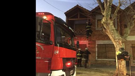 bomberos rescataron a un gato de una chimenea