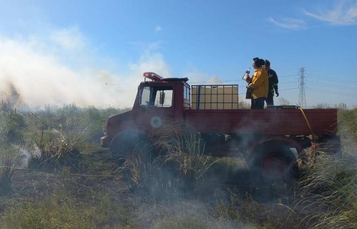 Piden que no se hagan podas y si se corta el pasto levantarlo inmediatamente y no quemarlo.