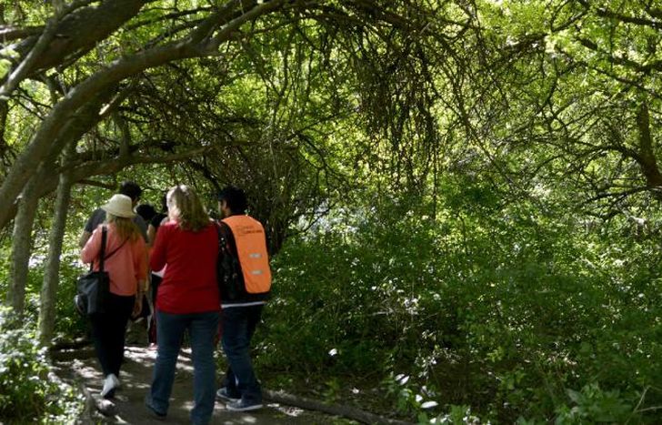 Un bello paseo por los bosques.