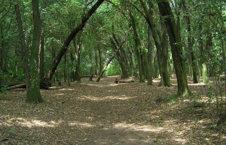 El objetivo es proteger al reservorio natural.
