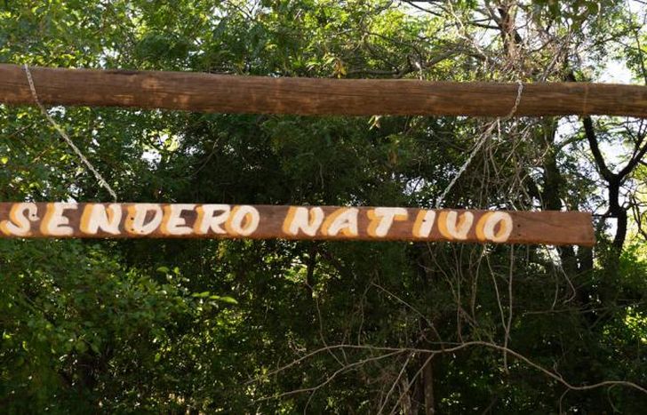 Está repleto de plantas y árboles nativos.