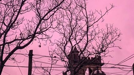 Los cielos son mi debilidad, dijo el vecino lomense.