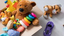 Para entregar a los niños de 15 instituciones sociales.
