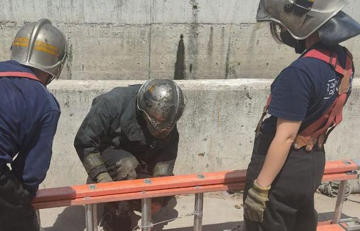 El operativo que tuvieron que desplegar incluyó escaleras y sogas