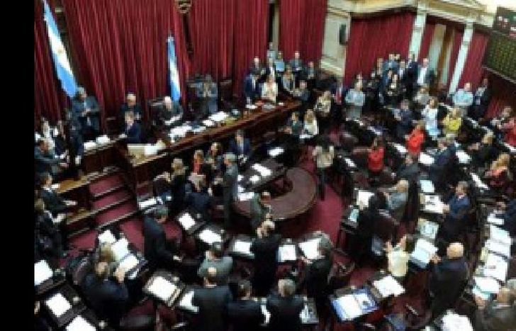 senado