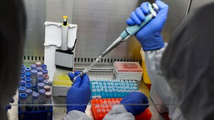 Se completaron la fase 1 y 2 de ensayos.