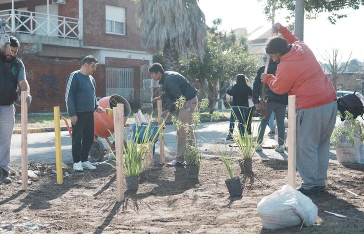 La limpieza se complementa con plantaciones de especies nativas.