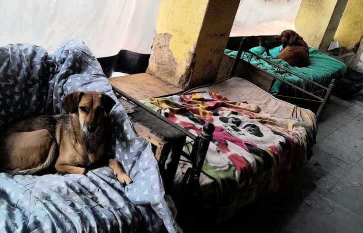 Todo para que ellos.