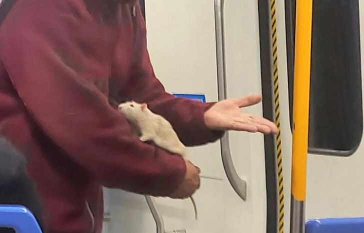 Stuart y su dueño en el Tren Roca