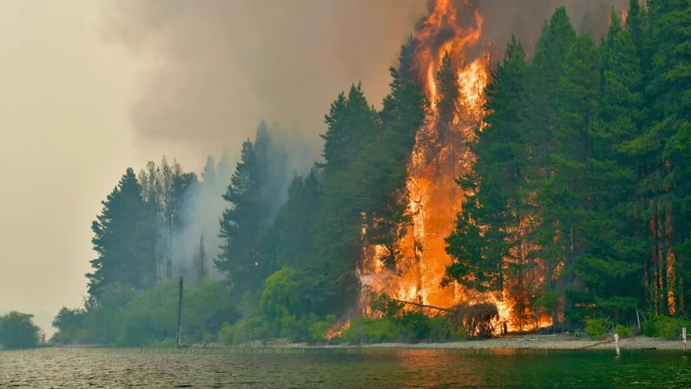 El fuego avanza en la Patagonia. Paralelamente, la solidaridad se hace presente en Lomas de Zamora.