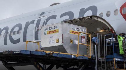 Avanza el plan de vacunación.