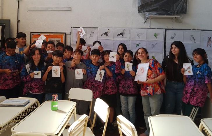 El libro tiene dibujos e información sobre 20 especies de aves.