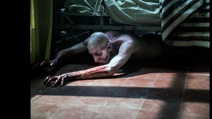 primer festival de cine fantastico y de terror