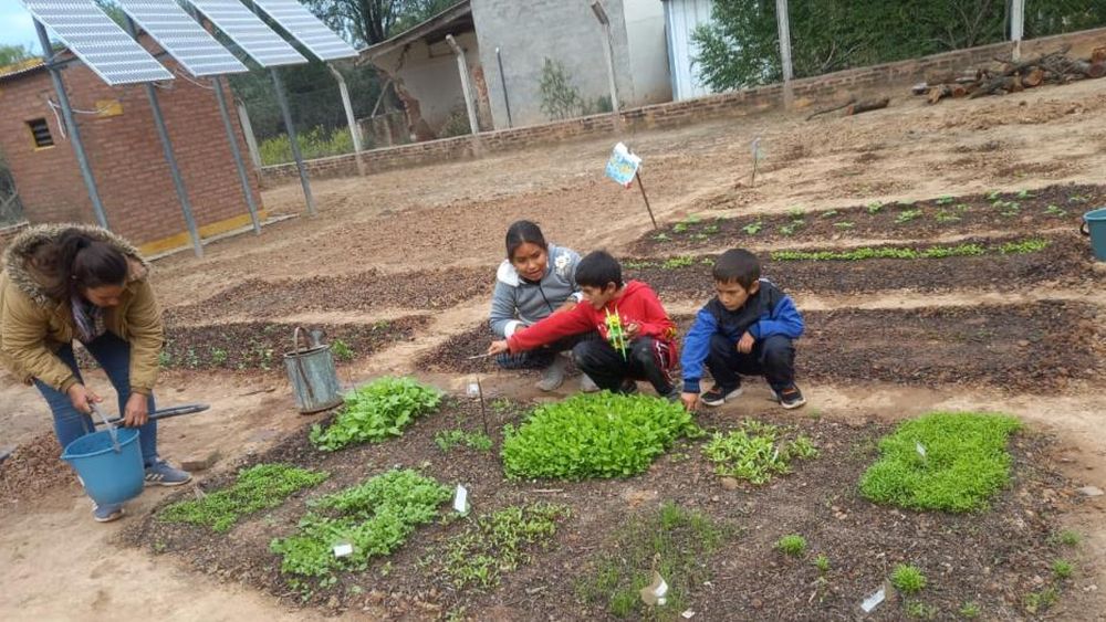 Lo recaudado será para viajar y además ayudar con herramientas para las huertas que están armando.