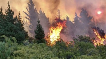 Para colaborar con los afectados por los incendios. Para colaborar con los afectados por los incendios.