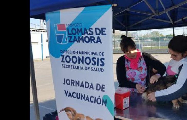 las acciones de zoonosis se replican en todo el municipio.