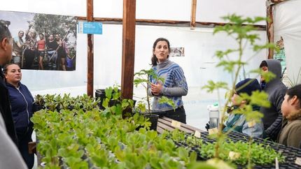Dan herramientas a los vecinos para que incorporen hábitos saludables.
