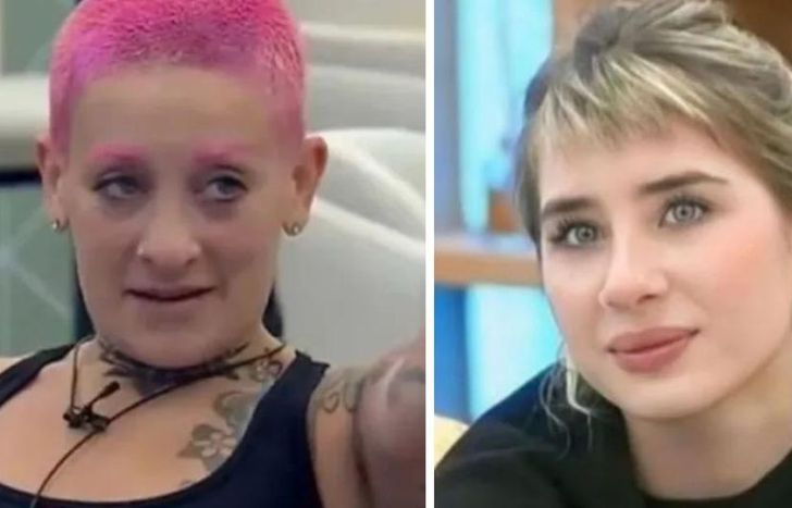 Furia no quiere a Paloma.