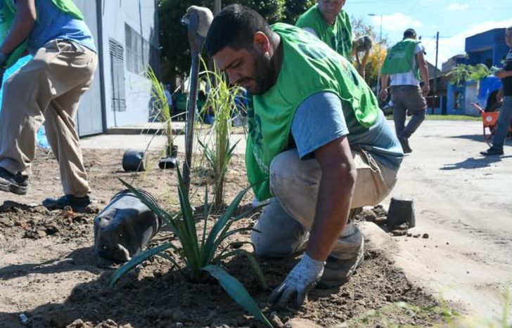 El programa Ahora Verde genera nuevos espacios con plantas nativas.