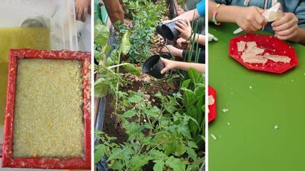 Van a mostrar todo lo aprendido este año en los stand que instalarán en la plaza de Temperley.
