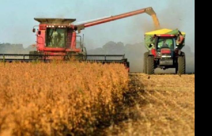 Consideraron que en la Argentina no hay un solo campo.