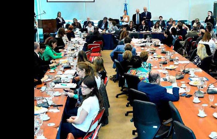 La Fundación participó del debate de la ley de Interrupción Legal del Embarazo (ILE).