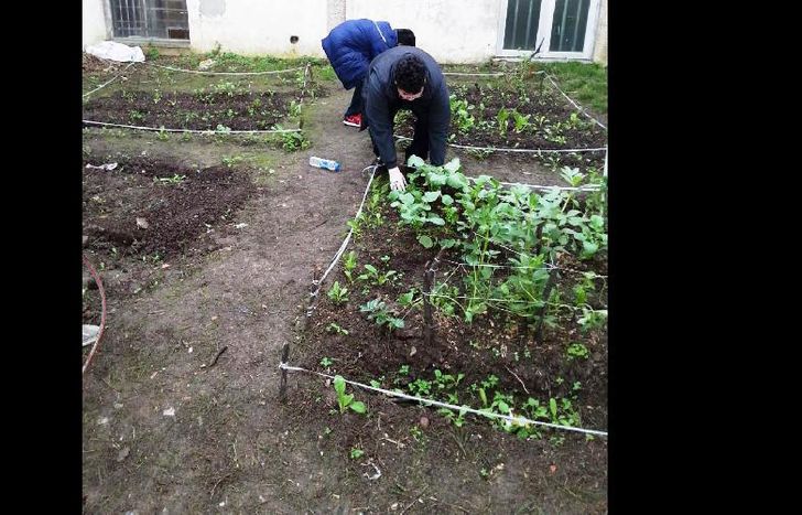 los chicos harán la experiencia.