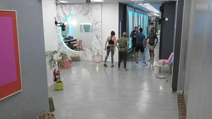 la escandalosa y violenta pelea entre alfa y el conejo: chupame la p.