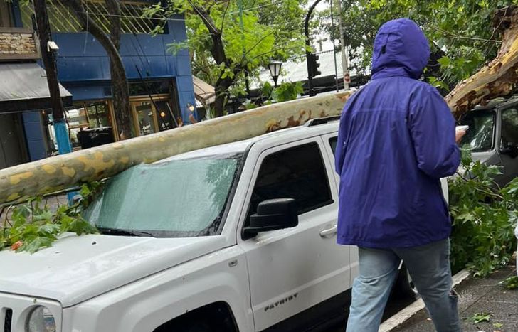 Un árbol cayó sobre una camioneta en España y Mitre.