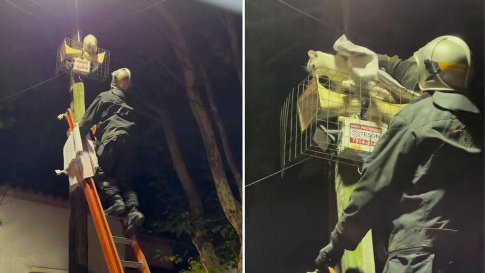 Un accionar eficaz en Temperley por parte de los Bomberos Volunarios.