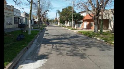 sobre la calle calle melo, los vecinos protegieron a cada uno de sus árboles.