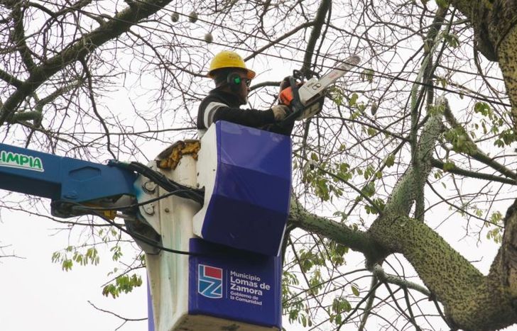 Para las podas y despejes en altura, las cuadrillas usan camiones hidroelevadores.