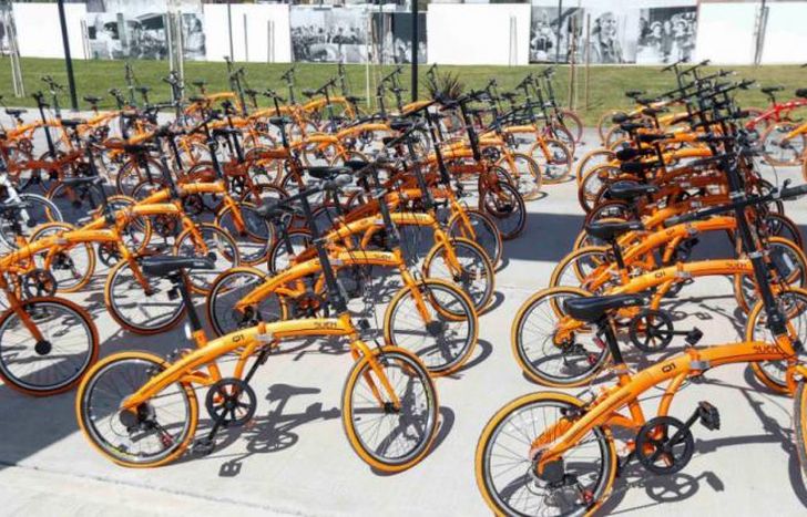 Serán repartidas entre la comunidad educativa de la UNLZ.