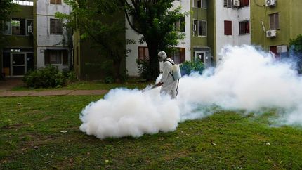 Utilizan termonieblas, termonebulizadores, vaporizadores y camionetas.