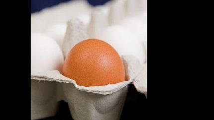 Hay faltante de huevos y preocupa el incremento en el precio