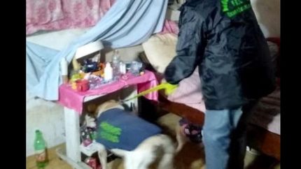 Encontró la droga en un ropero.