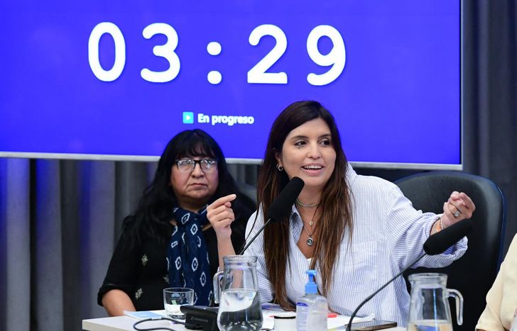 Daniela Vilar alertó sobre la modificación de la Ley de Glaciares: El daño será irreversible.