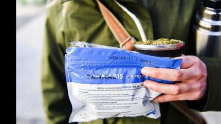 La marihuana se vende en sobres sellados de 5 gramos a razón de 1,40 dólares el gramo.