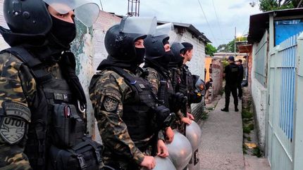 Imágenes del operativo. Imágenes del operativo.