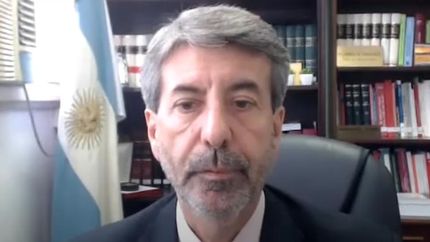 Juez Ricardo Basílico.